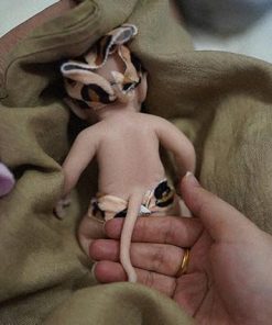 7 Inch Realistic Mini Silicone Elf Girl,Real Life Reborn Elf Doll,Lifelike Mini Reborn Doll Surprice Children Anti-Stress Relief Hand Made 2