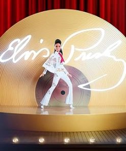 Mattel – Barbie Music Series, Elvis, 2021 2