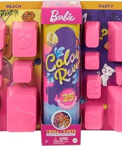 Barbie Color Reveal Doll Set with 25 Surprises Including 2 Pets & Day-to-Night Transformation: 15 Mystery Bags Contain Doll Clothes & Accessories for 2 Looks; Water Reveals Look of Metallic Doll